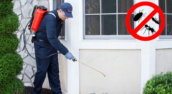 Lice Hamam Böceği İlaçlama böcek ilaçlama ve haşere kontrolü — ilaclama-tr.com